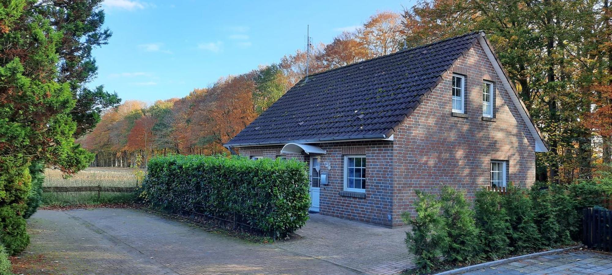 Villa "Am Waldesrand" Re16 à Sögel Extérieur photo